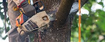 Best Aeration Services  in Rmel By The Sea, CA
